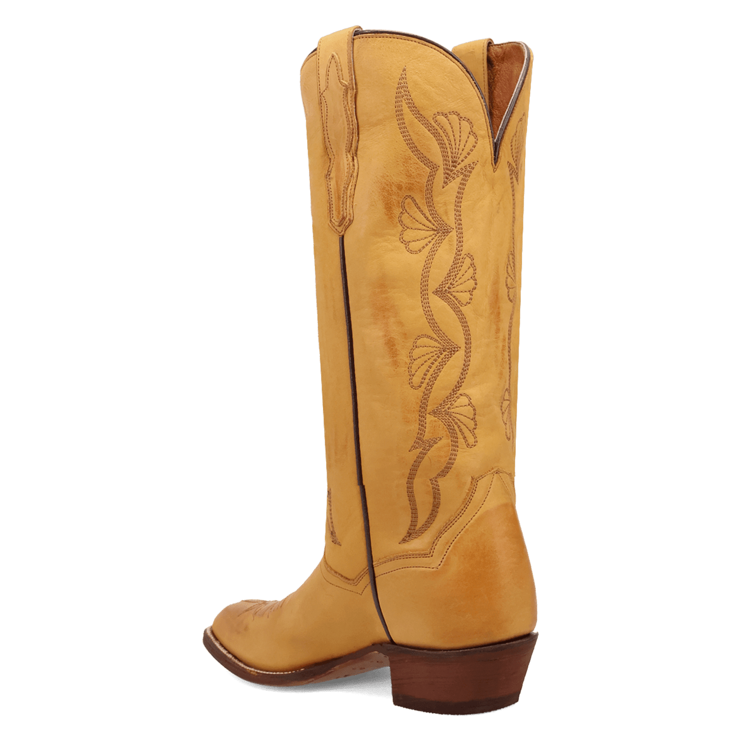 Dan Post Sunrise Canyon Leather Boot - Premium Crafted