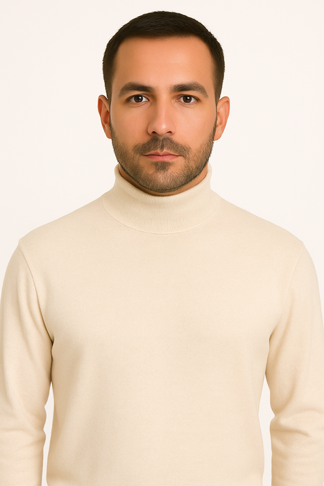 Mens Turtleneck