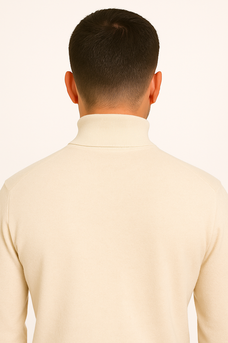 Mens Turtleneck
