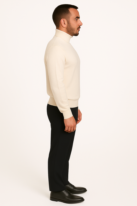 Mens Turtleneck