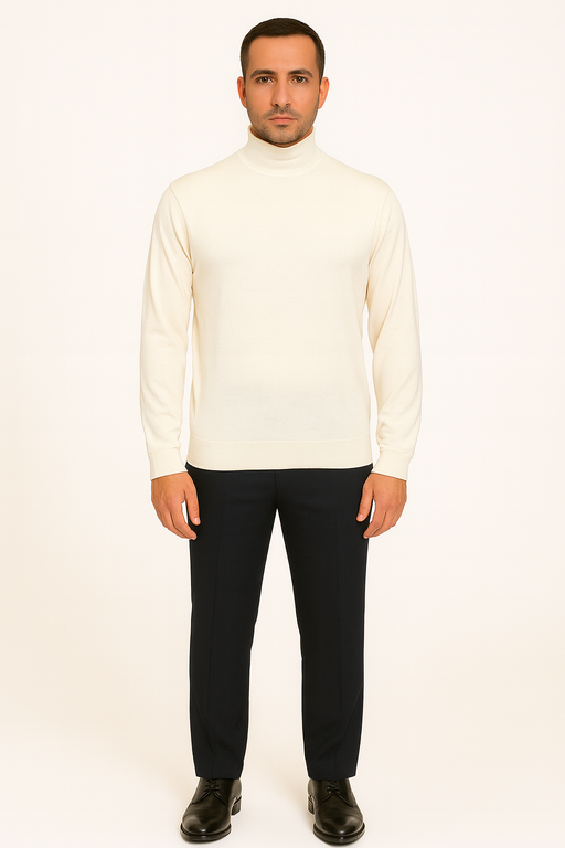 Mens Turtleneck