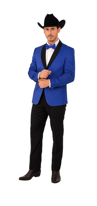 Men's Satin Shawl Lapel Blue 2 Buttons Floral Slim Fit Blazer Sport coat Paisley Royal Blue Tuxedo