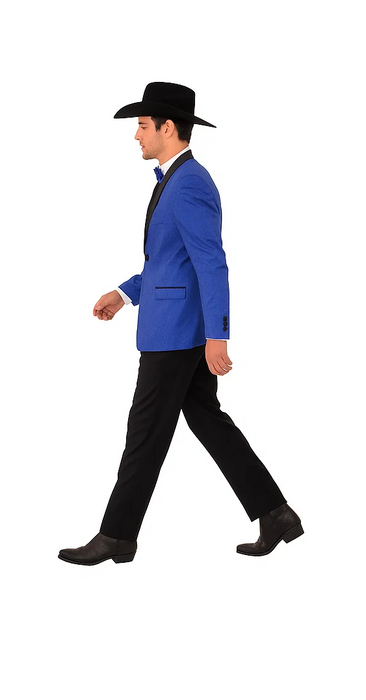 Men's Satin Shawl Lapel Blue 2 Buttons Floral Slim Fit Blazer Sport coat Paisley Royal Blue Tuxedo