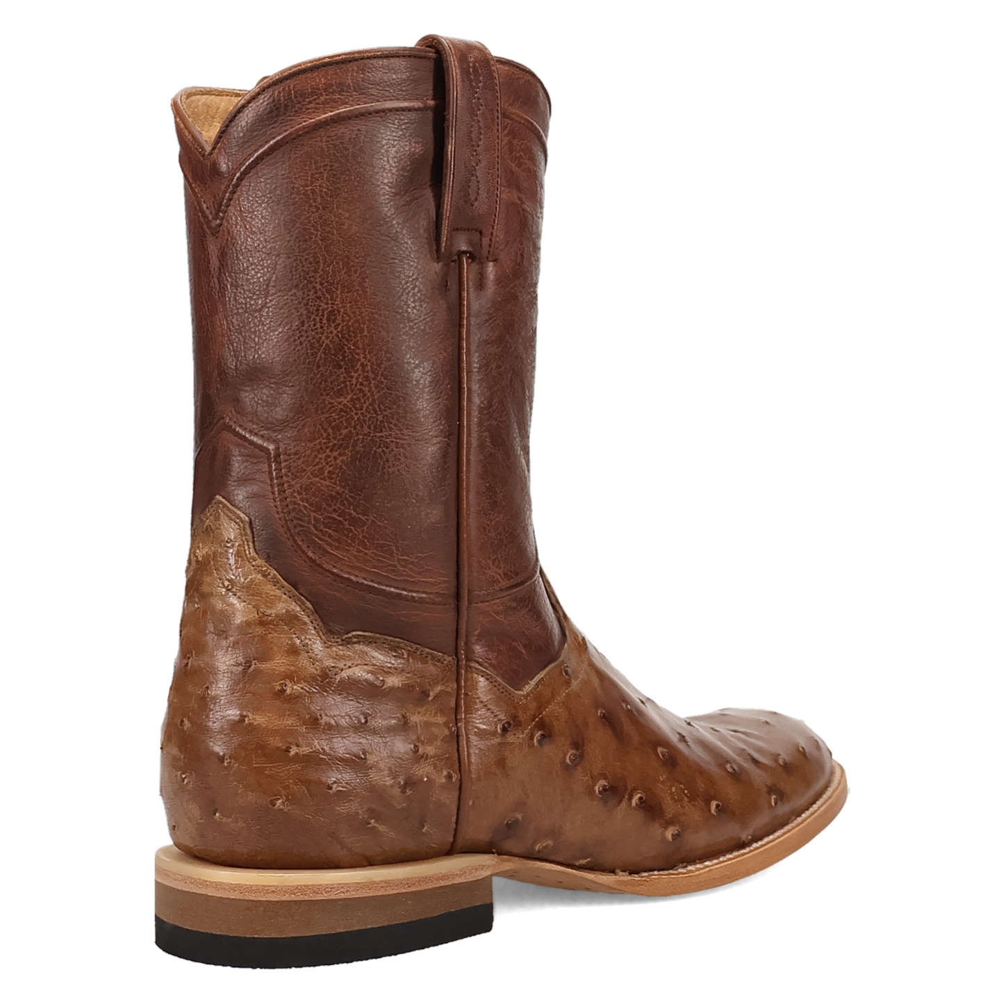 Dan Post Ardor Ostrich Boot - Full Quill Leather