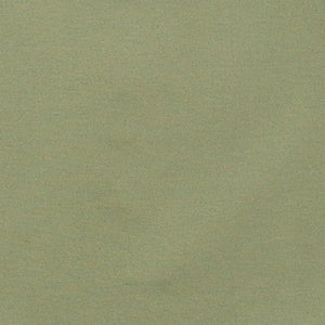 Men's Light Olive Two Piece Suit