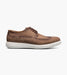 Stacy Adams Trudell Wingtip Lace Up by Stacy Adams Shoes