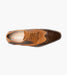 Stacy Adams Ivingale Wingtip Oxford by Stacy Adams Shoes