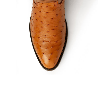Colt - Men's Full Quill Ostrich