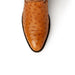 Ferrini Colt - Men's Full Quill Ostrich