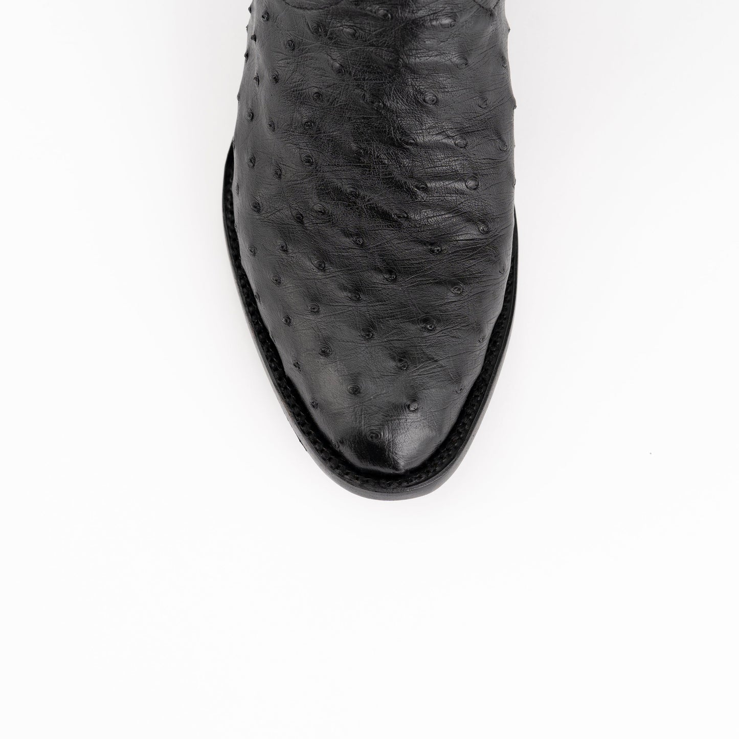 Colt - Men's Full Quill Ostrich