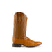 Ferrini Colt - Men's Full Quill Ostrich