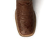 Ferrini Colt - Men's Full Quill Ostrich
