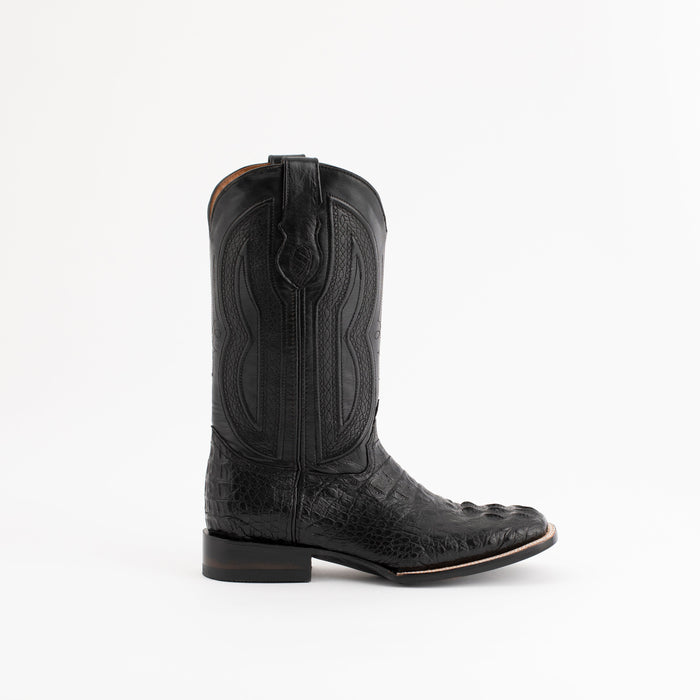 Hornback Caiman Dakota