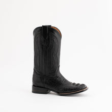 Ferrini Hornback Caiman Dakota