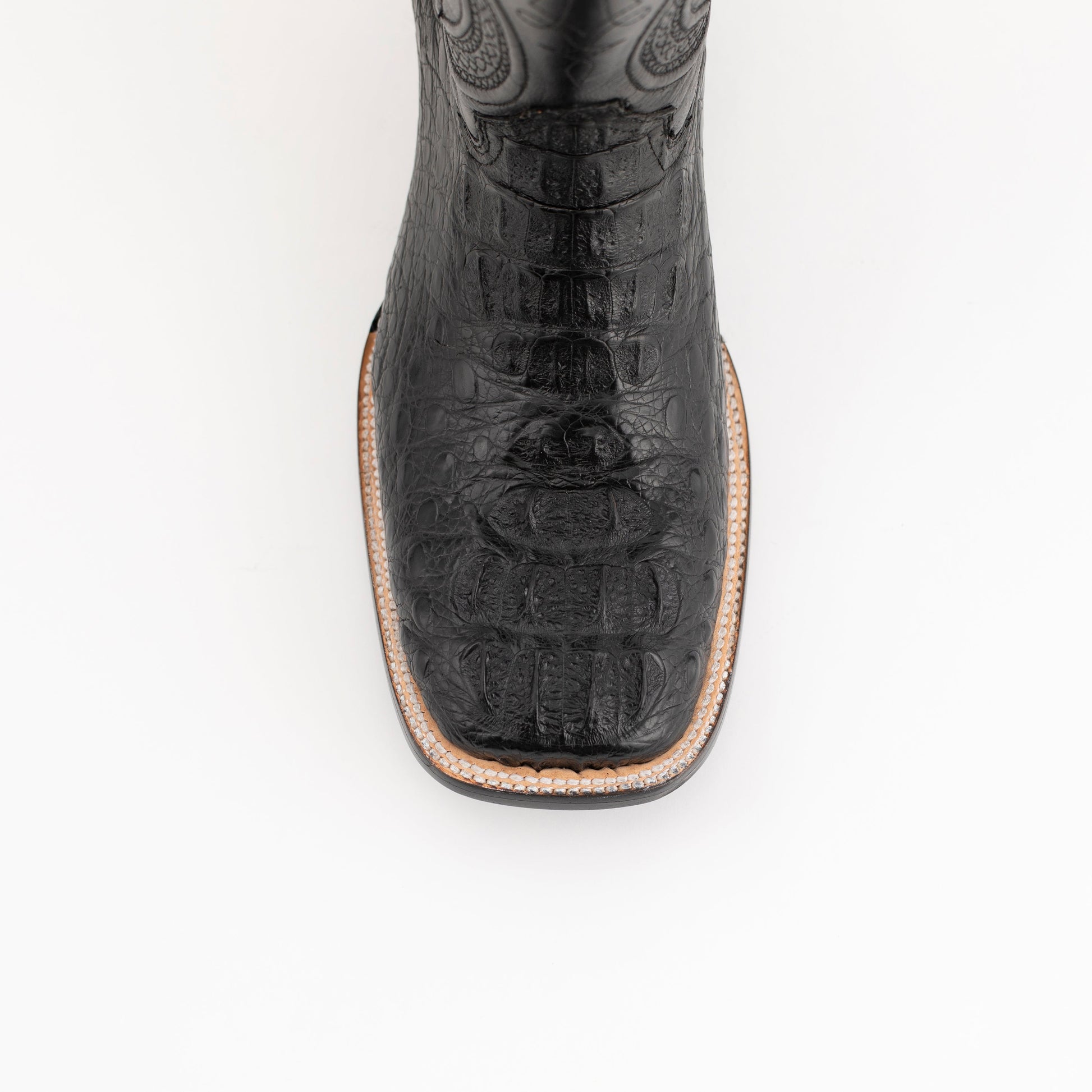 Hornback Caiman Dakota