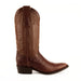Ferrini Stallion - American Alligator