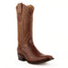 Ferrini Stallion - American Alligator