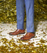 Stacy Adams Bennett Wingtip Oxford by Stacy Adams Shoes