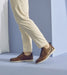 Stacy Adams Sync Plain Toe Elastic Lace Up by Stacy Adams Shoes