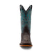 Ferrini CLINT