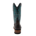 Ferrini CLINT
