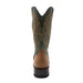 Ferrini CLINT
