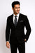 Tiglio Suit Brand 2 Button Solid Black Suit - High End Suits - High Quality Suits