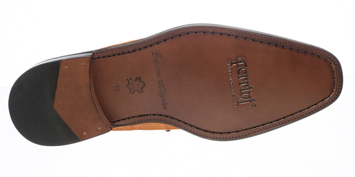 Belly Alligator 216