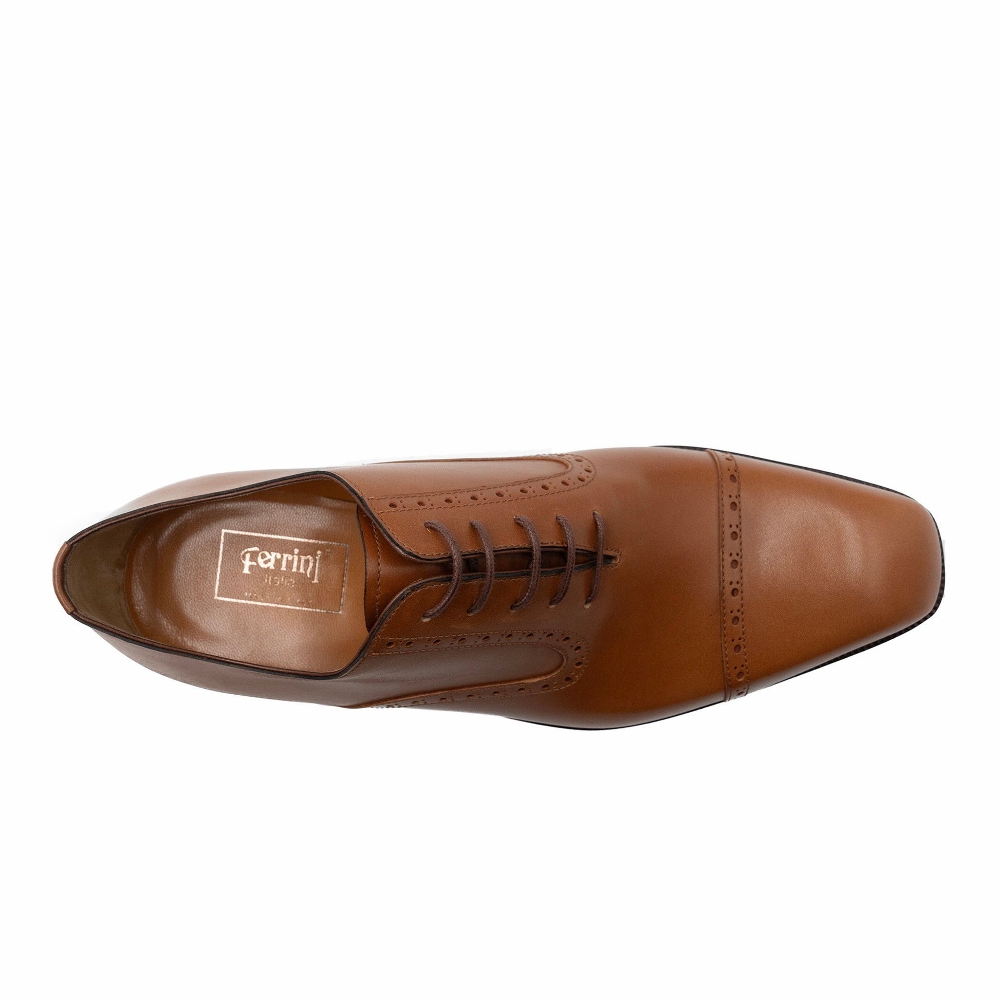 French Calf 3922