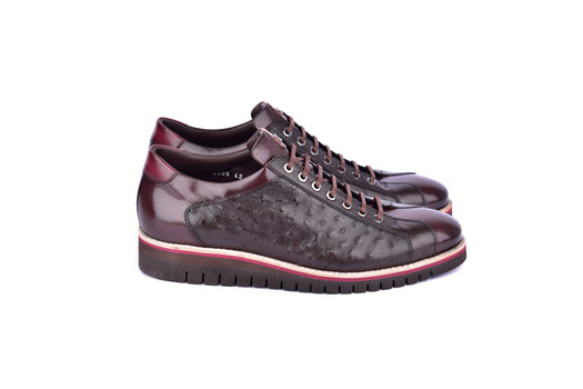 C21101-4005-OSt Genuine Ostrich Sneaker-Brown - Image 2