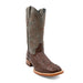 Ferrini Stampede