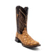 Ferrini Bronco