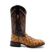 Ferrini Bronco
