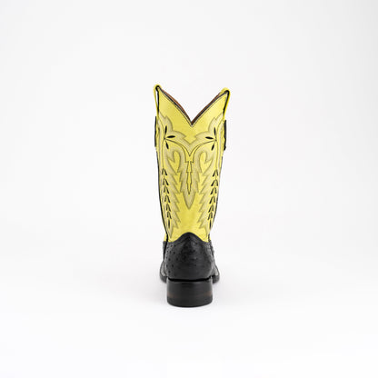 Ladies Colt - Full Quill Ostrich