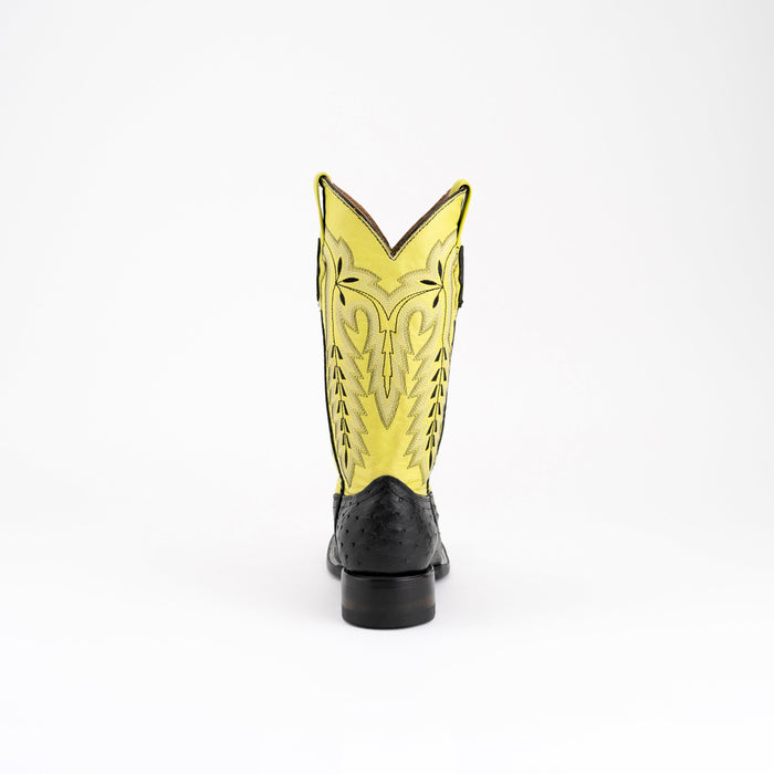 Ladies Colt - Full Quill Ostrich
