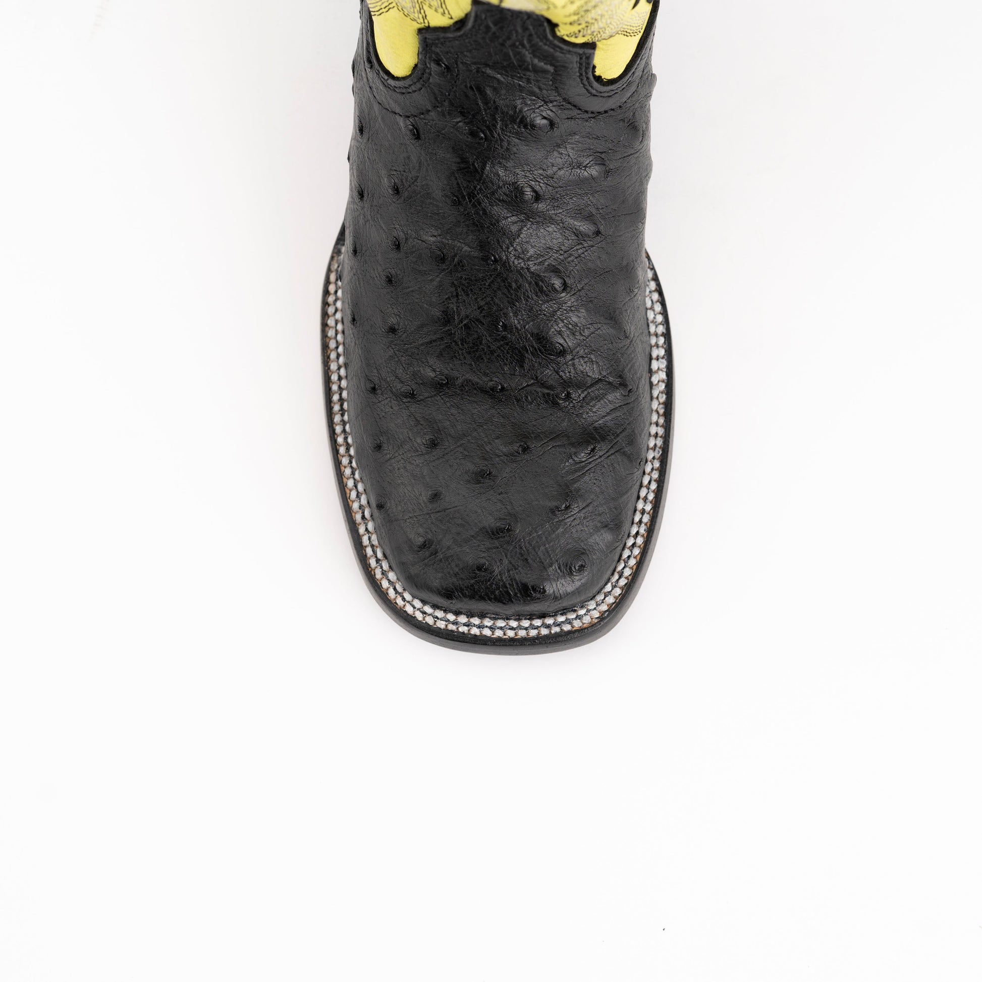 Ladies Colt - Full Quill Ostrich