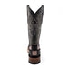Ferrini Patchwork