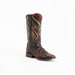 Ferrini Bronco