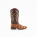 Ferrini Bronco