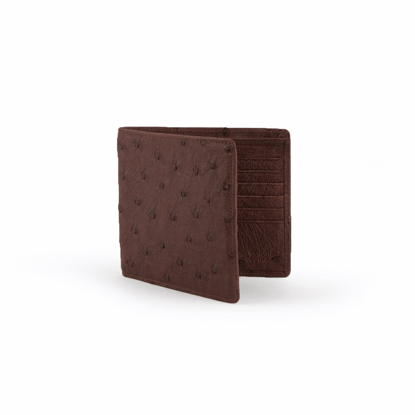 Full Quill Ostrich Hipster