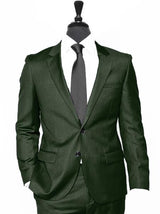 Coming 2018 Alberto Nardoni Suit