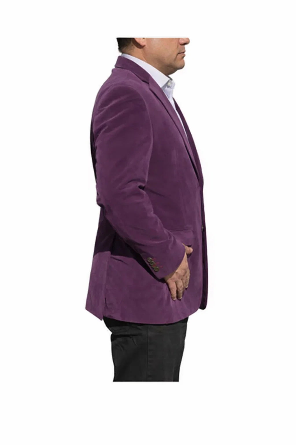 Alberto Nardoni Brand  Purple Velvet