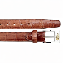 Belvedere Alligator Belt- Cognac