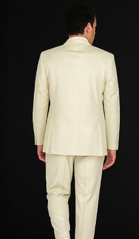 Mens Vested 2 Button Classic Tuxedo in Iory