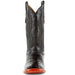 Ferrini Men's Stallion Alligator Belly Boots Square Toe Black