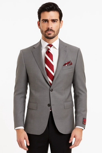 Brand Gray Suit