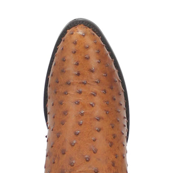 Dan Post Men’s Saddle Brown and Chocolate Tempe Full Quill Ostrich 12” Round Toe Leather Boot - Image 2