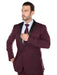 Men's Slim Fit Black and Burgundy ~ Wine ~ Maroon Suit