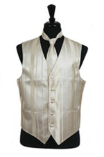 Dress Tuxedo Wedding Vest/Tie/Bowtie Sets (Champagne Tone on Tone) Buy 10 of same color Tie For $25 Each - Men's Neck Ties - Mens Dress Tie - Trendy Mens Ties