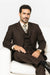 Three Button Suit - Classic Fit Pleated Pants - Mens Classic 3 Button Regular Fit Brown Suit